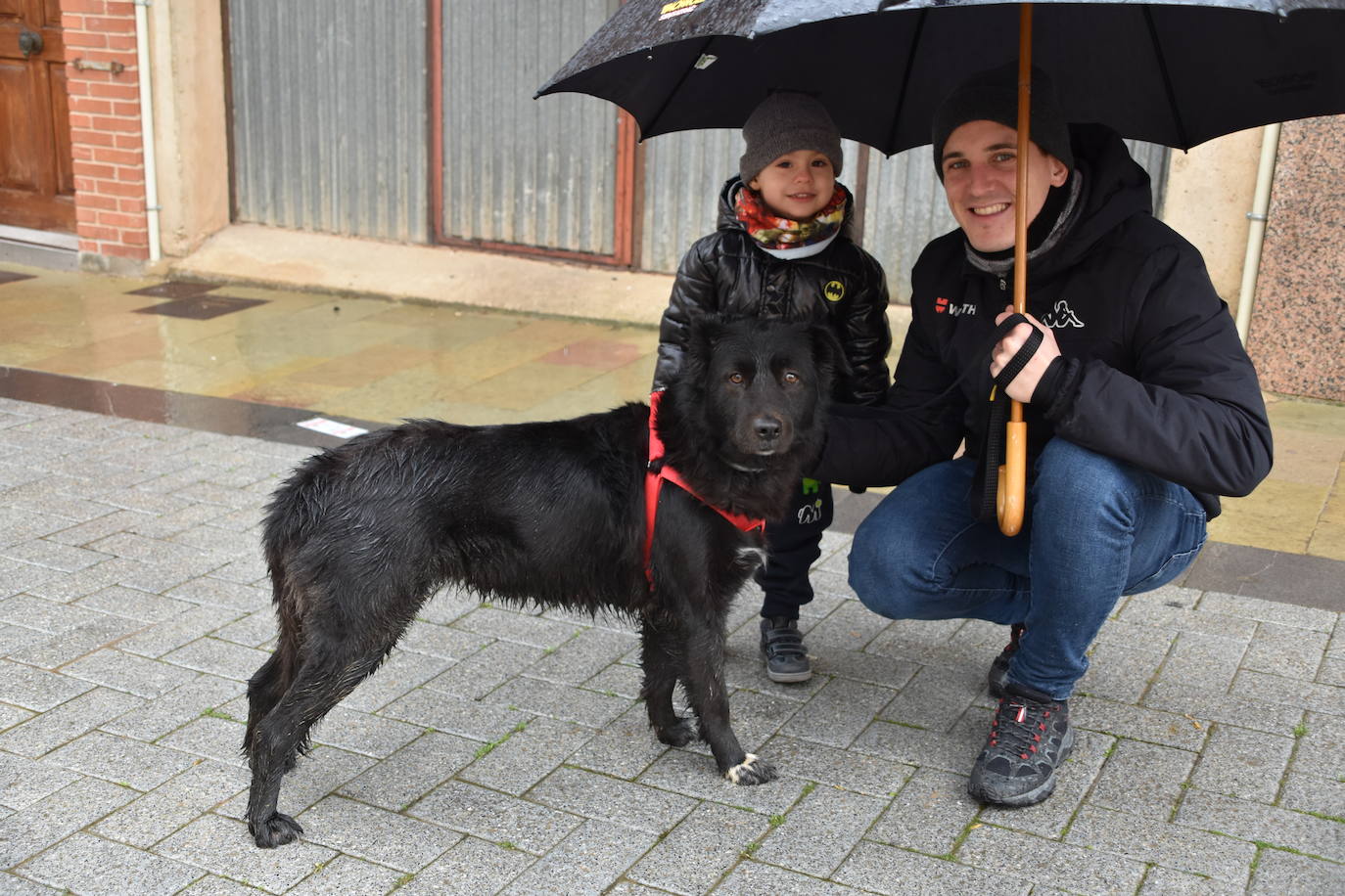 Procesión y bendición de San Antón en Rincón de Soto.