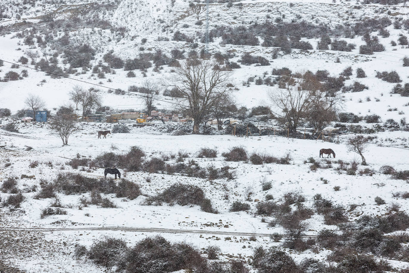 Fotos: las primeras nieves tiñen parte de La Rioja de blanco