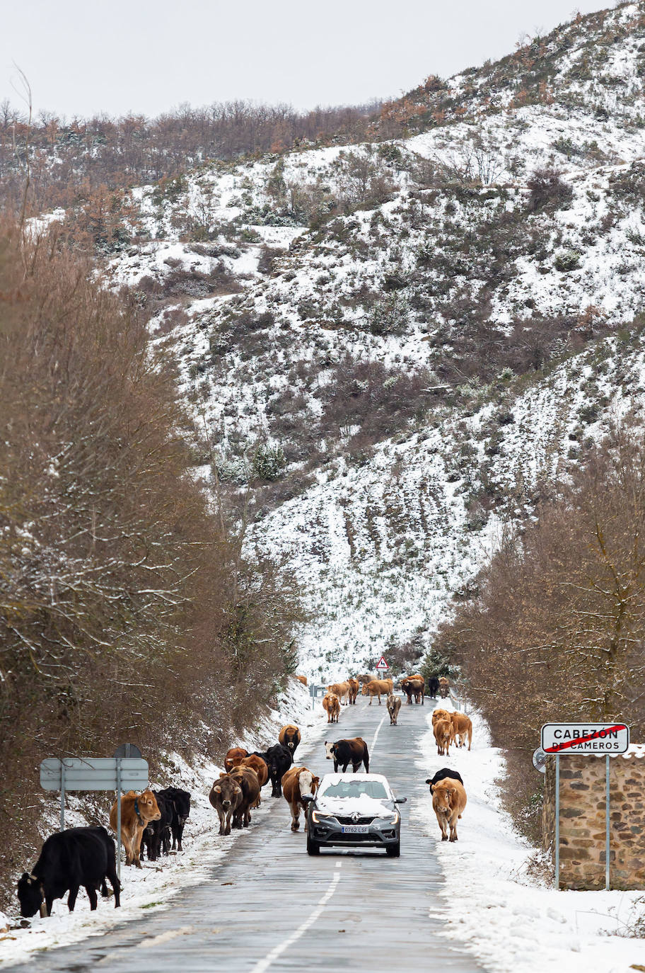 Fotos: las primeras nieves tiñen parte de La Rioja de blanco