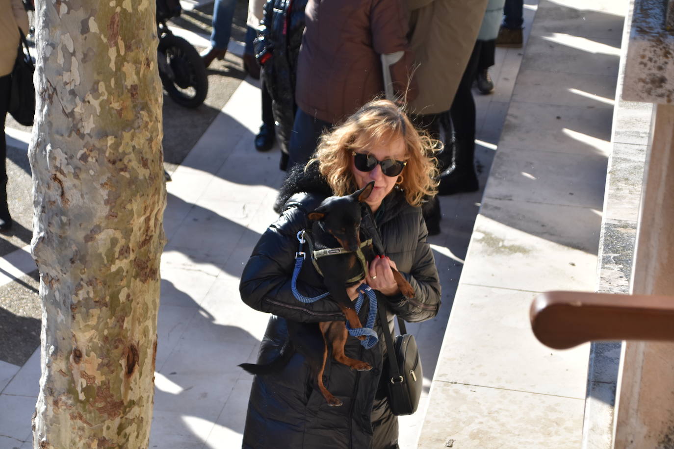 Fotos: Actos de San Antón en Calahorra