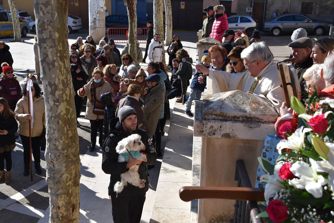 Fotos: Actos de San Antón en Calahorra