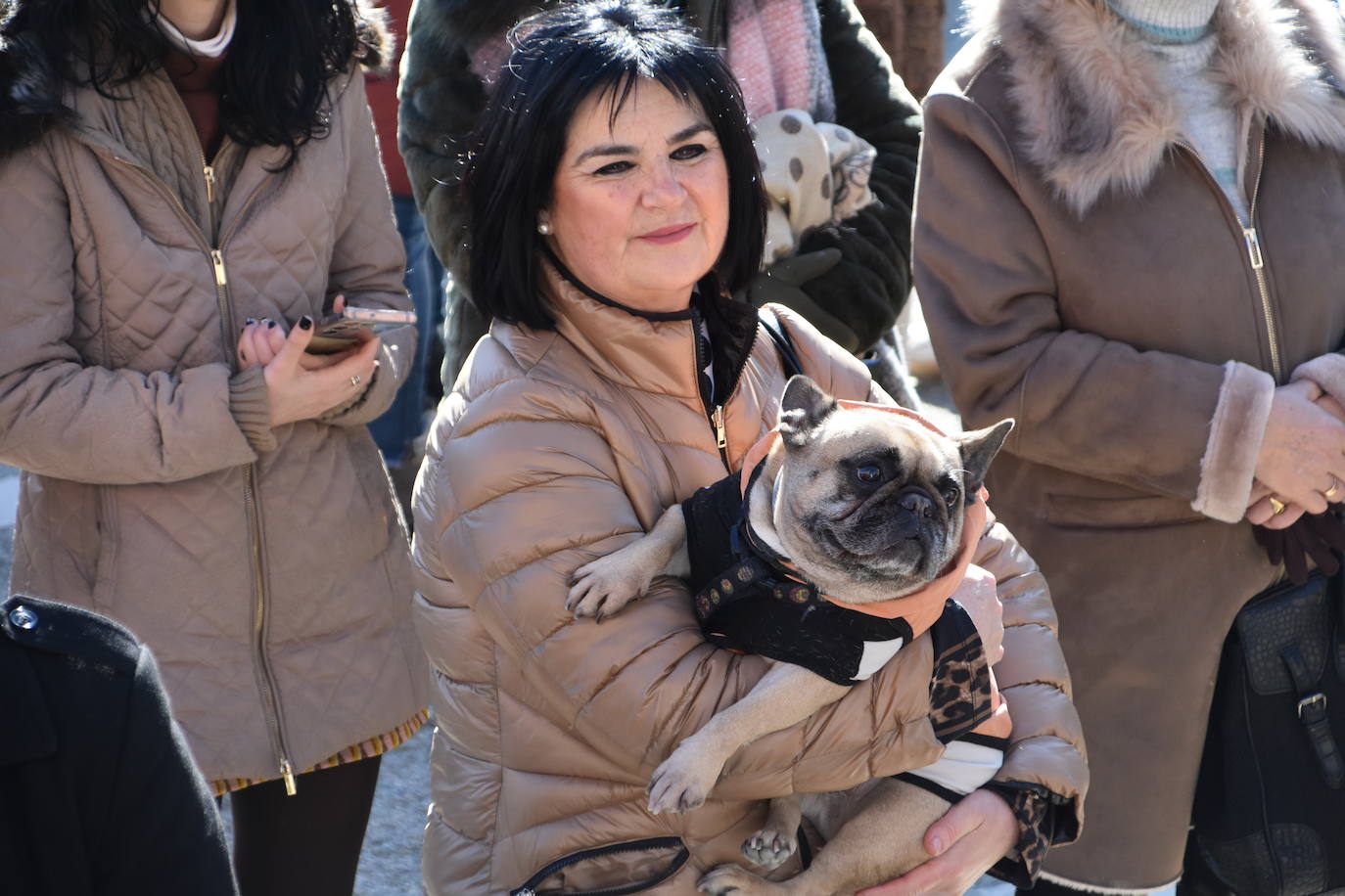 Fotos: Actos de San Antón en Calahorra
