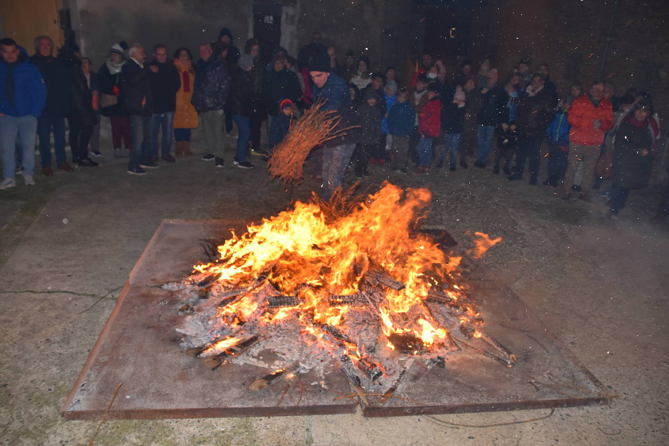 Fotos: Actos de San Antón en Calahorra