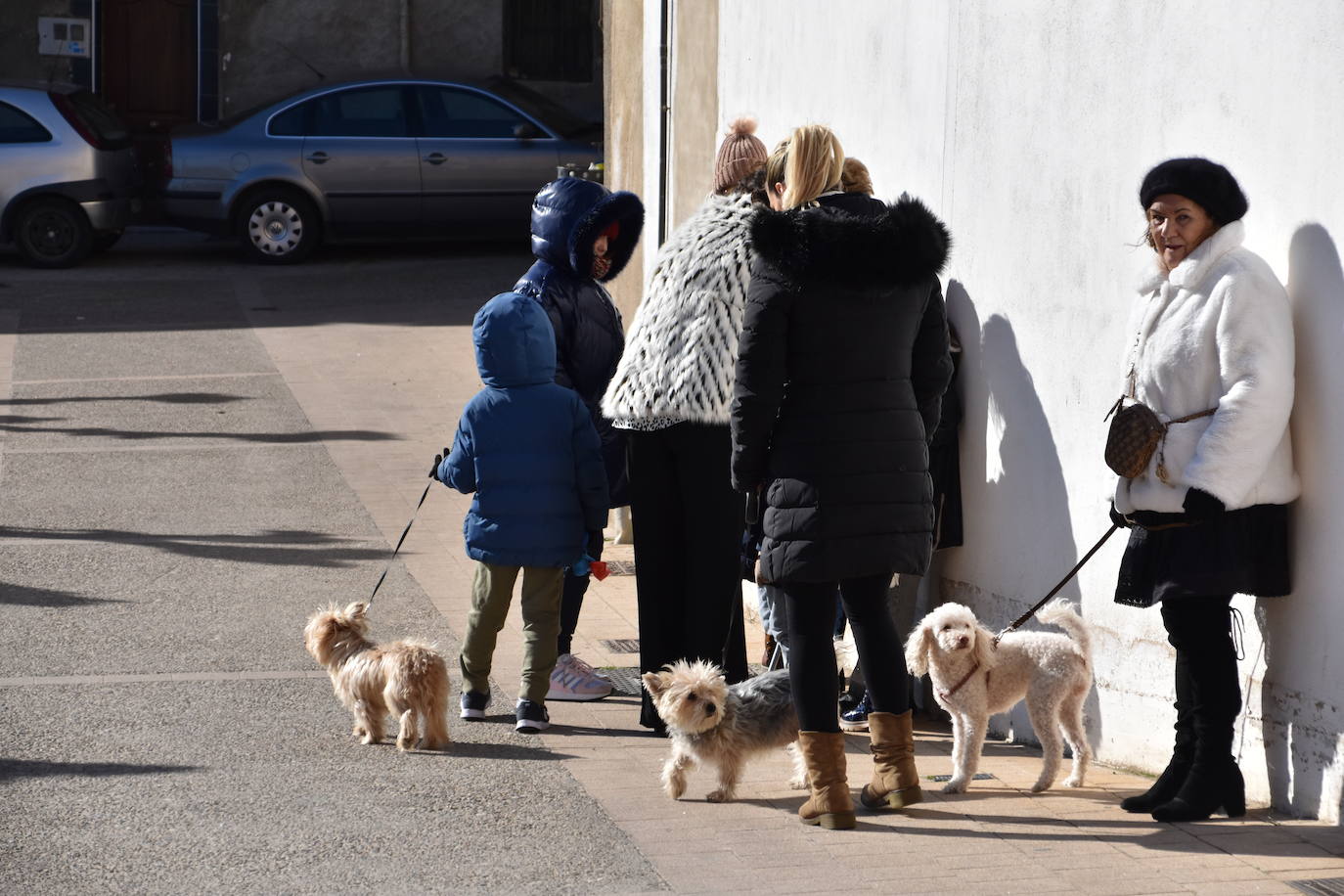 Fotos: Actos de San Antón en Calahorra