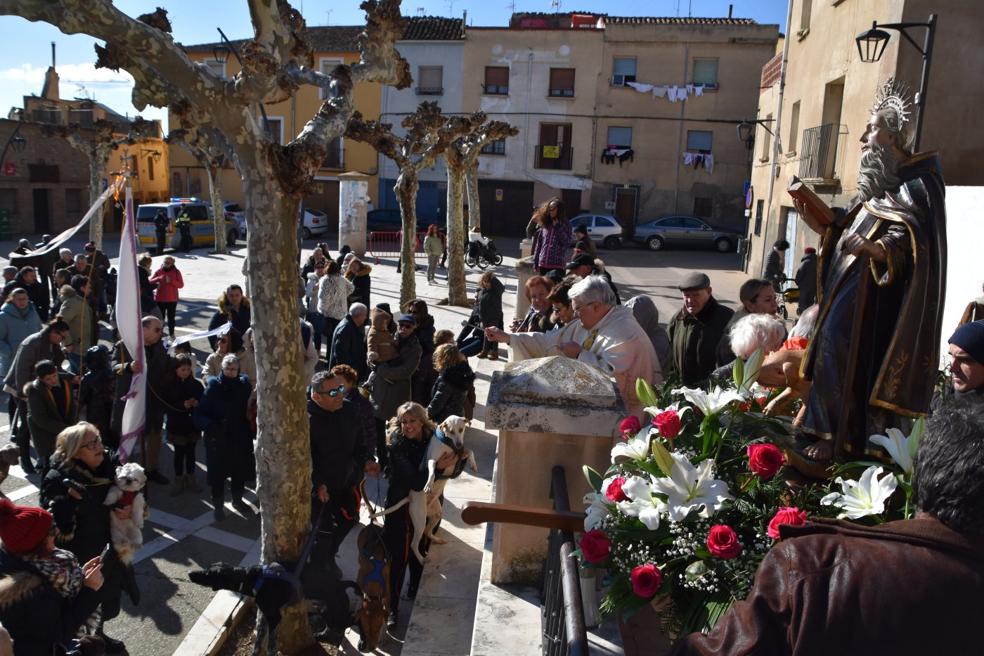 Bendición de mascotas en el Planillo de San Andrés con la imagen de San Antón. 