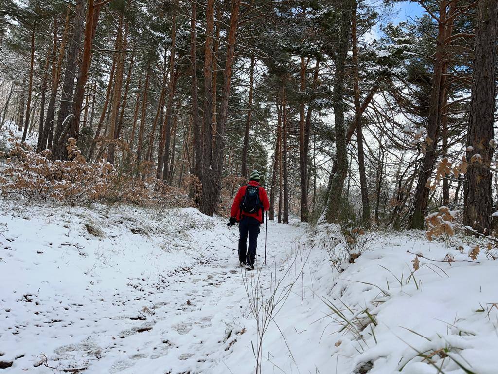 Fotos: Nieve en Ortigosa y El Rasillo