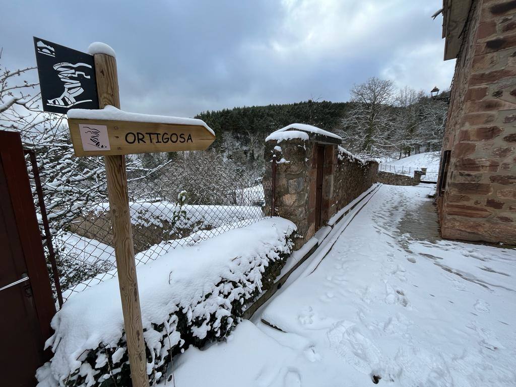 Fotos: Nieve en Ortigosa y El Rasillo