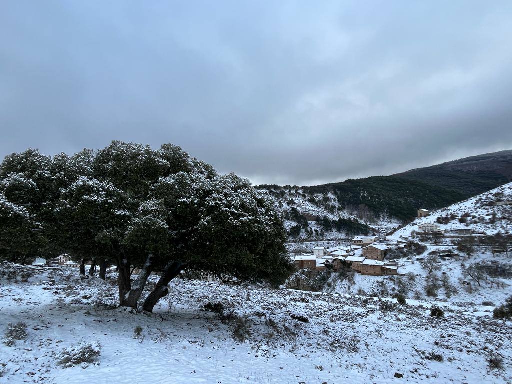 Fotos: Nieve en Ortigosa y El Rasillo