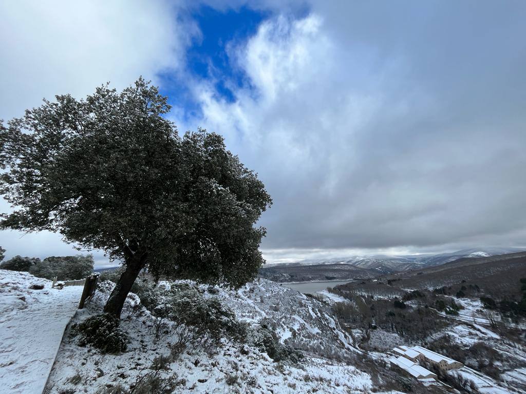 Fotos: Nieve en Ortigosa y El Rasillo