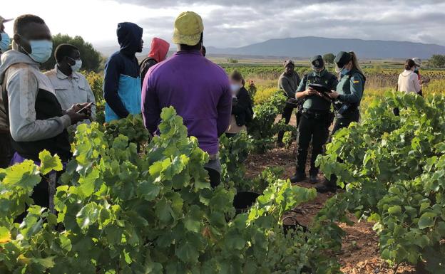 Inspección laboral, con el apoyo de la Guardia Civil, en una explotación agraria