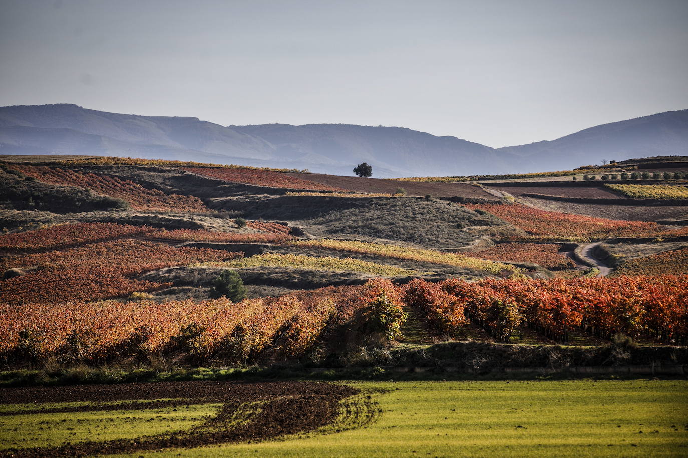 Fotos: La Rioja, la región más acogedora para Booking.com