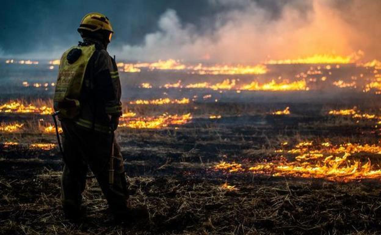 Un bombero observa cómo un frente del incendio ha arrasado un terreno de La Araucaria