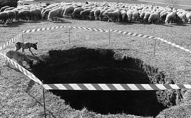 Los perros de José María, el pastor, se asomaban con curiosidad y algo de miedo al hoyo abierto en la finca, situada a unos tres kilómetros de Estollo. 