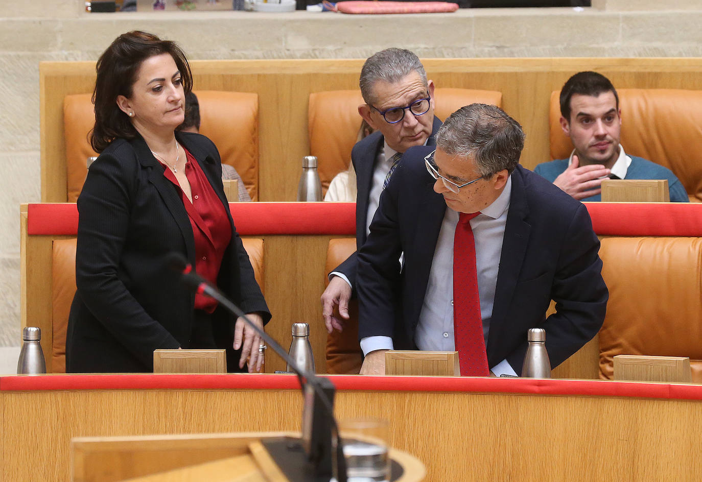 Fotos: Las imágenes del Pleno del Parlamento de La Rioja