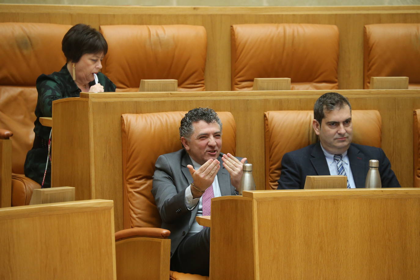Fotos: Las imágenes del Pleno del Parlamento de La Rioja