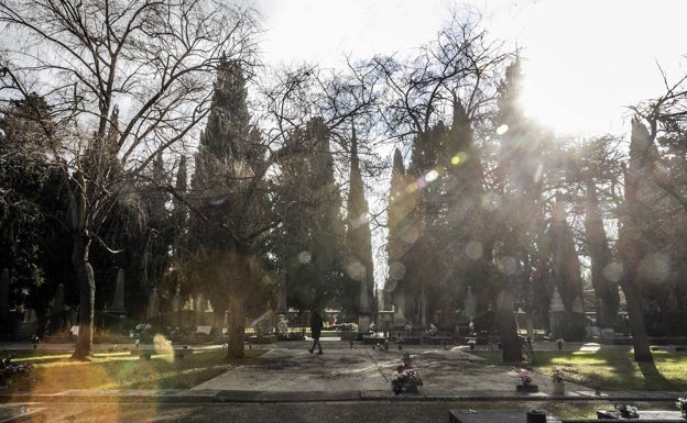 'Cuadro 1' del cementerio donde se colocará la 'instalación'. 