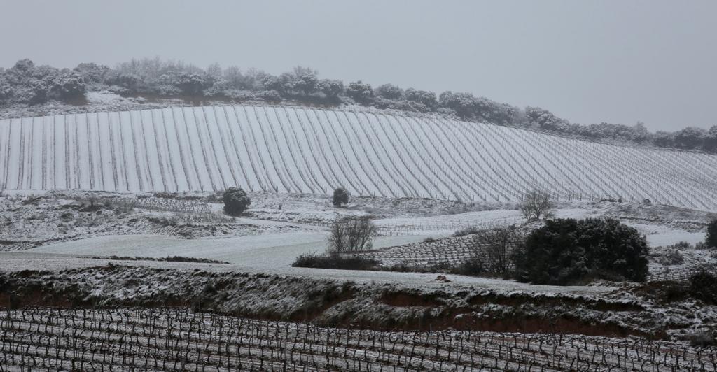 Fotos: El frío y la nieve llegan a La Rioja