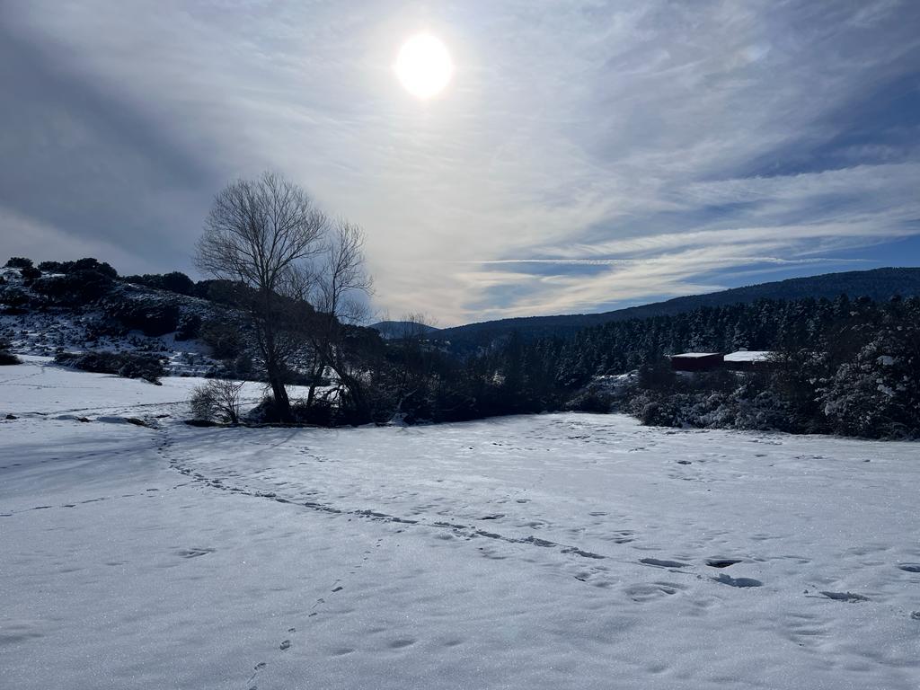 Fotos: La nieve deja blancos los montes de El Rasillo y Ortigosa