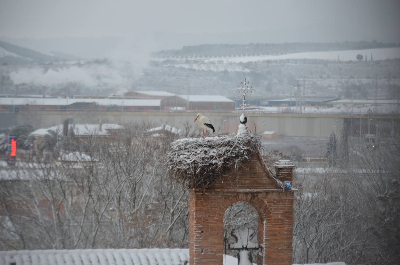 Fotos: Calahorra, epicentro de la nevada en el valle del Ebro