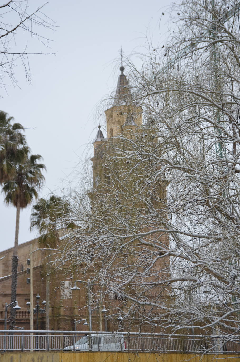 Fotos: Calahorra, epicentro de la nevada en el valle del Ebro