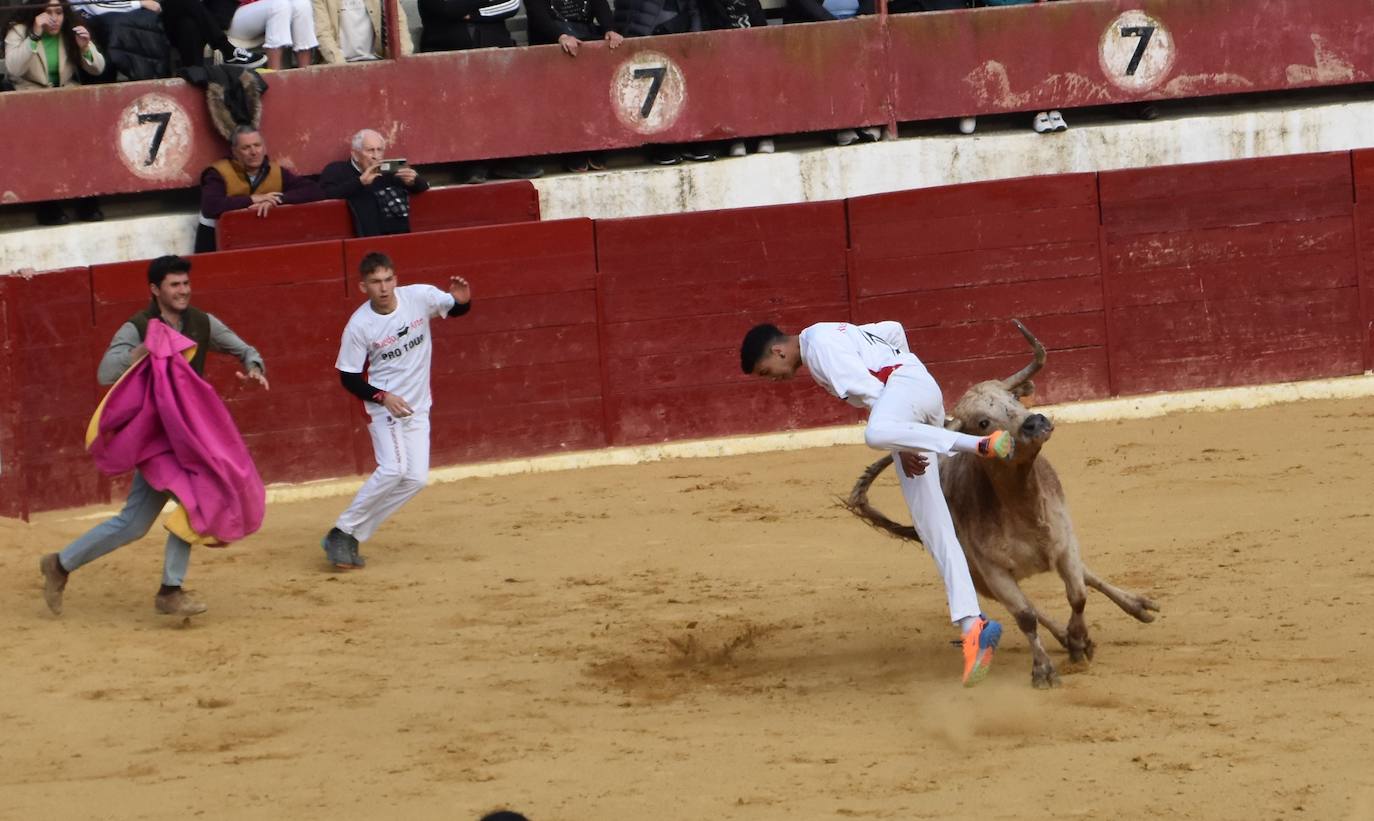 Fotos: Gigantes, cabezudos y recortadores para el cierre de fiestas de Calahorra