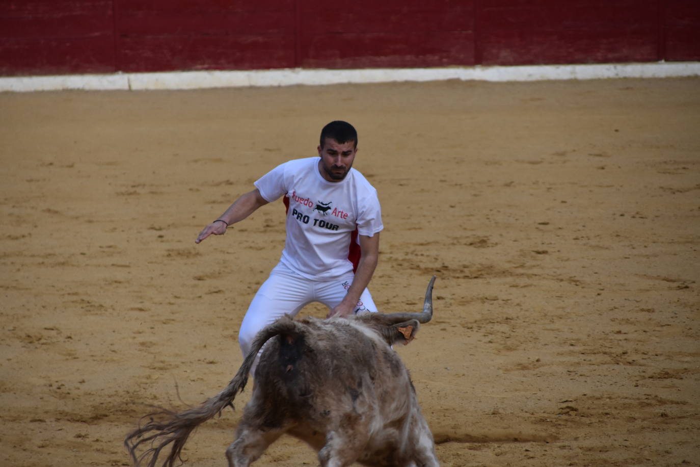 Fotos: Gigantes, cabezudos y recortadores para el cierre de fiestas de Calahorra