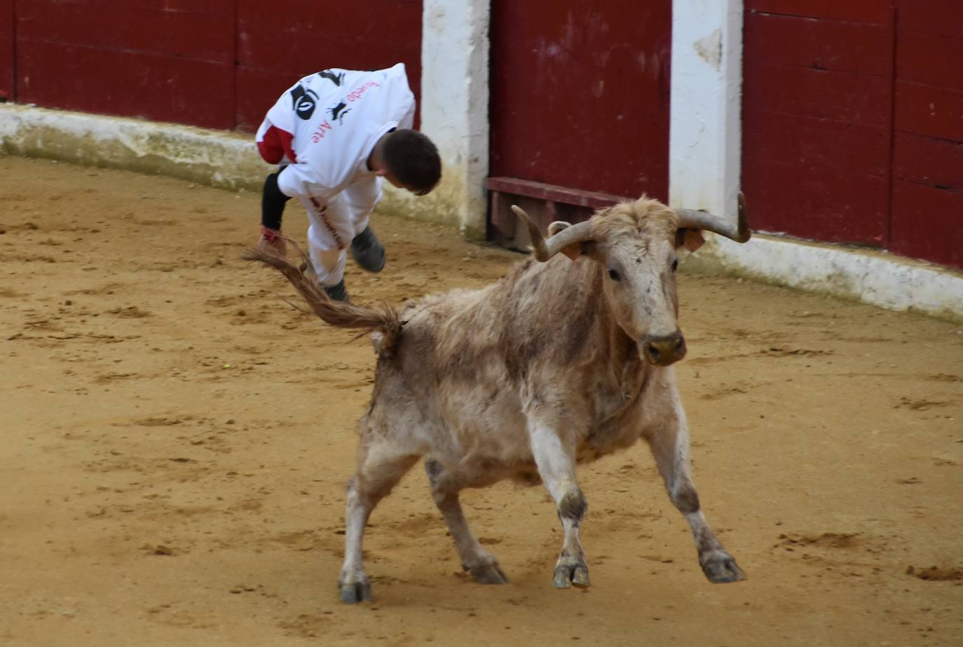 Fotos: Gigantes, cabezudos y recortadores para el cierre de fiestas de Calahorra