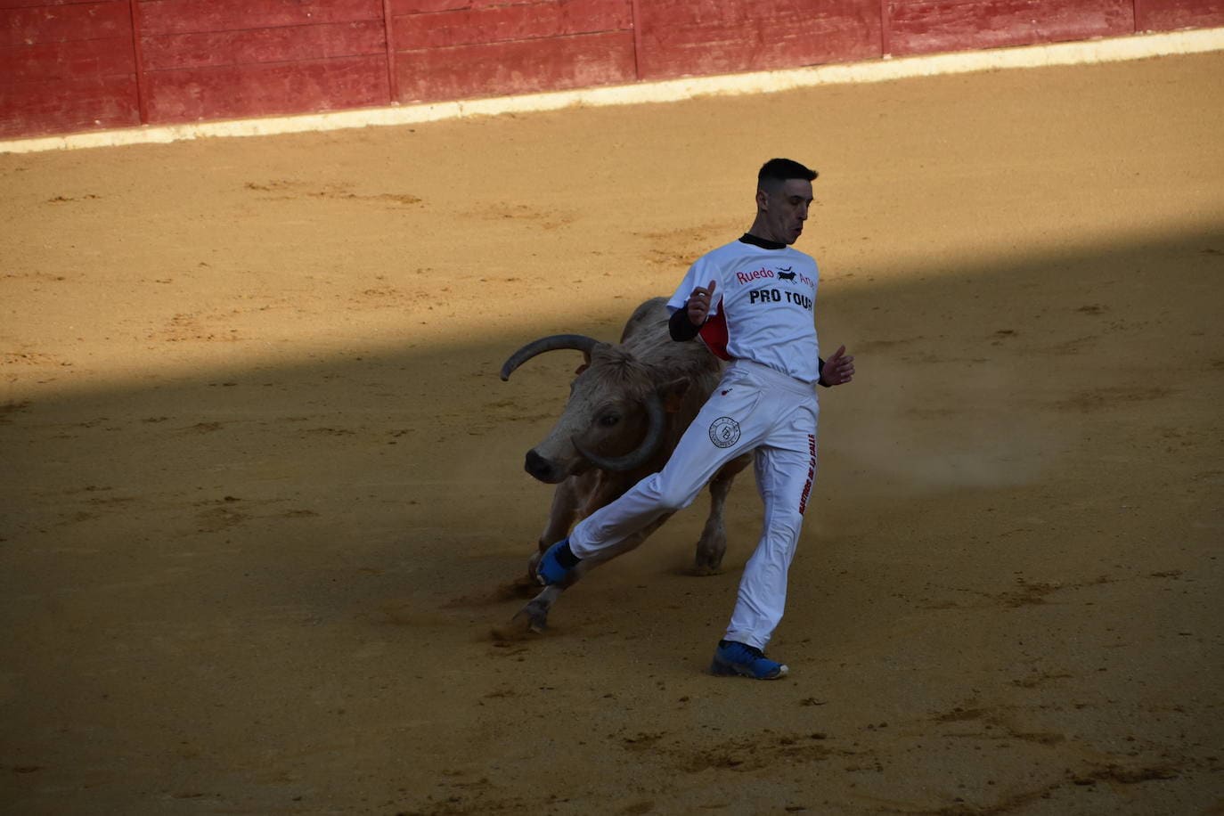 Fotos: Gigantes, cabezudos y recortadores para el cierre de fiestas de Calahorra