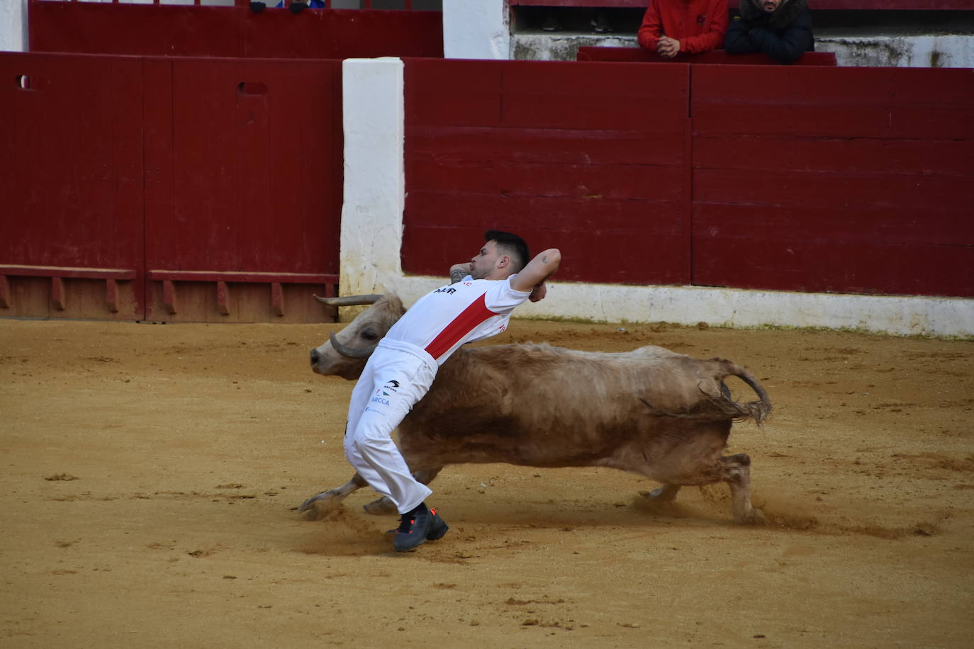 Fotos: Gigantes, cabezudos y recortadores para el cierre de fiestas de Calahorra