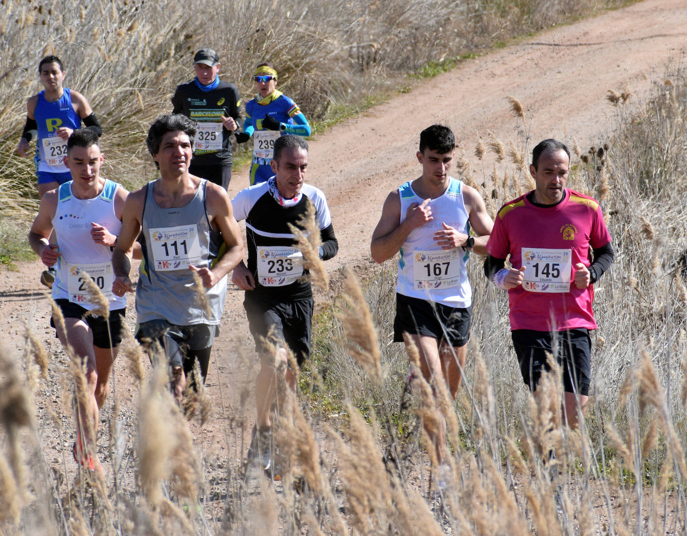 Fotos: El najerino David Martínez se impone en la Media Maratón del Camino