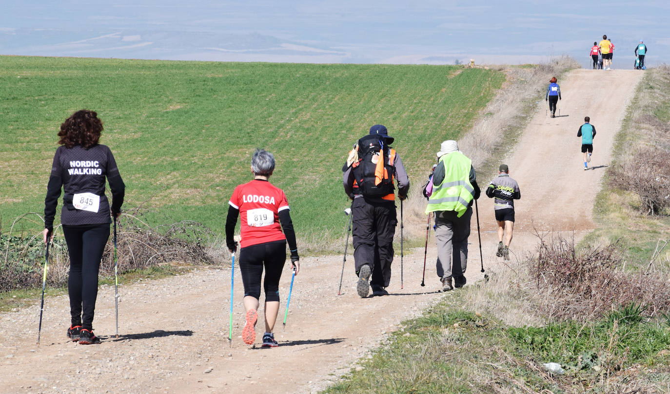 Fotos: El najerino David Martínez se impone en la Media Maratón del Camino