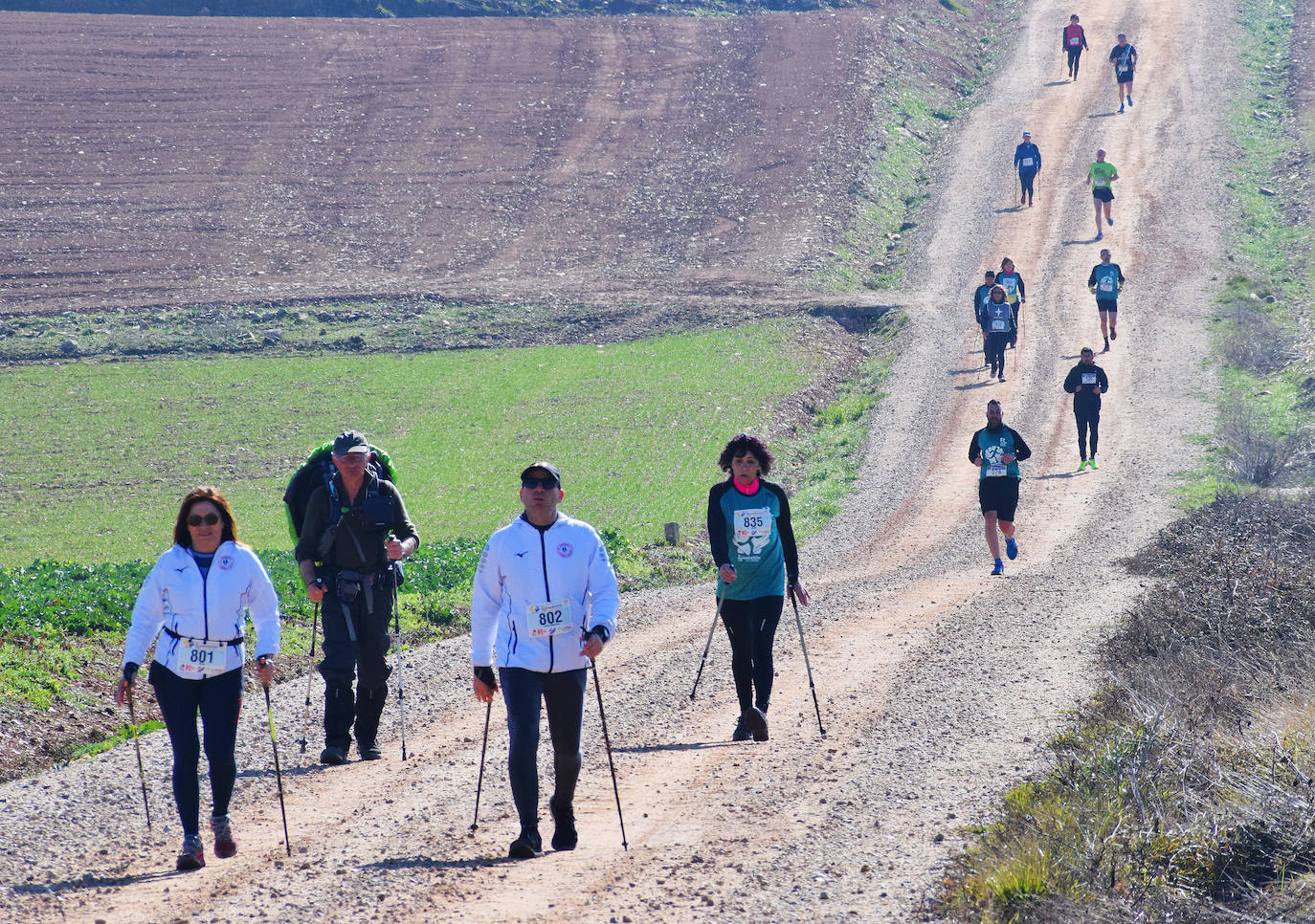 Fotos: El najerino David Martínez se impone en la Media Maratón del Camino