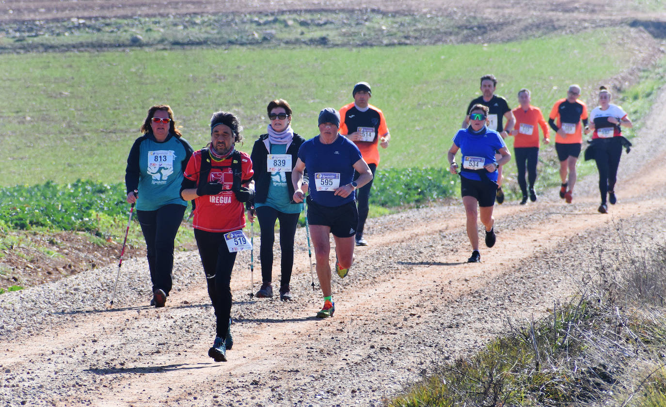 Fotos: El najerino David Martínez se impone en la Media Maratón del Camino