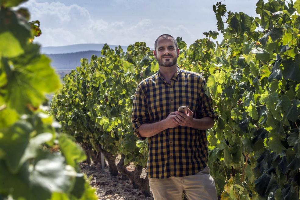 David Castro, en uno de sus viñedos de Elciego. 