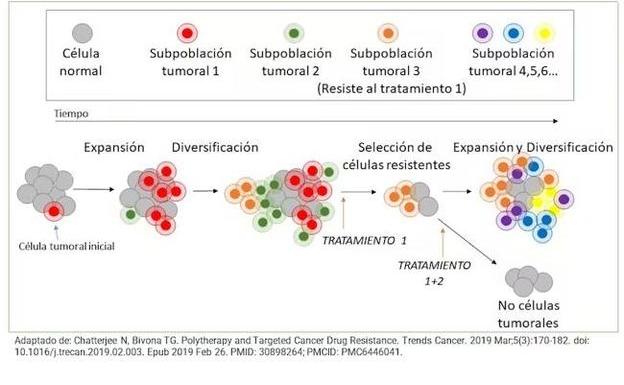 Una de las causas de la resistencia a los fármacos es la heterogeneidad de los tumores.