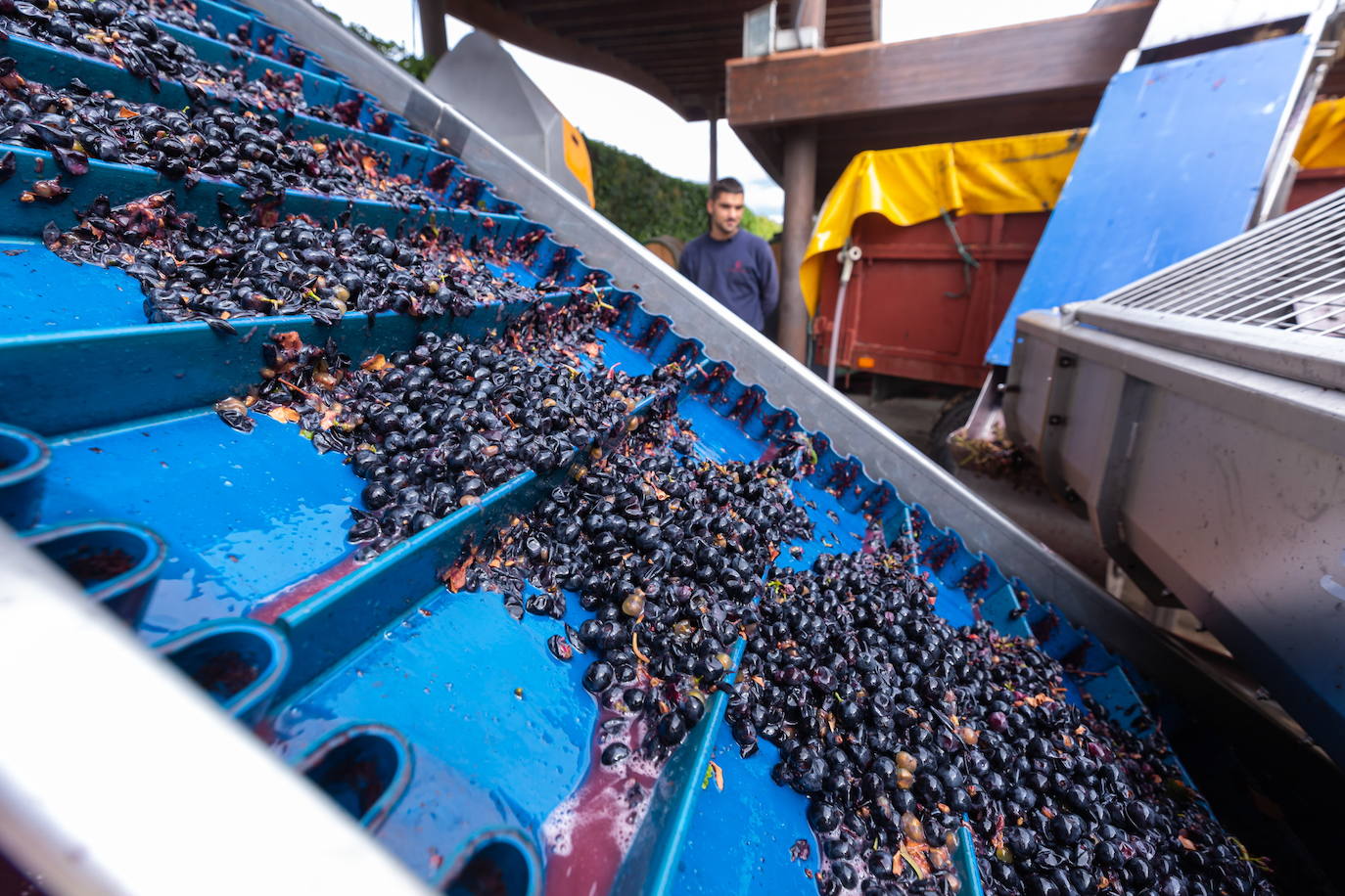 ARAG-Asaja destaca que «bodegas y cooperativas también harán concesiones durante dos años»