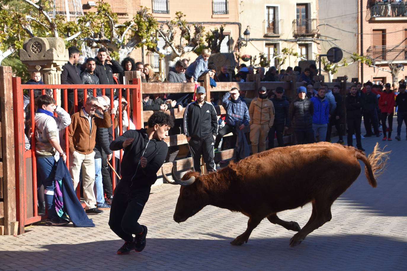 Encierro en Aldeanueva de Ebro