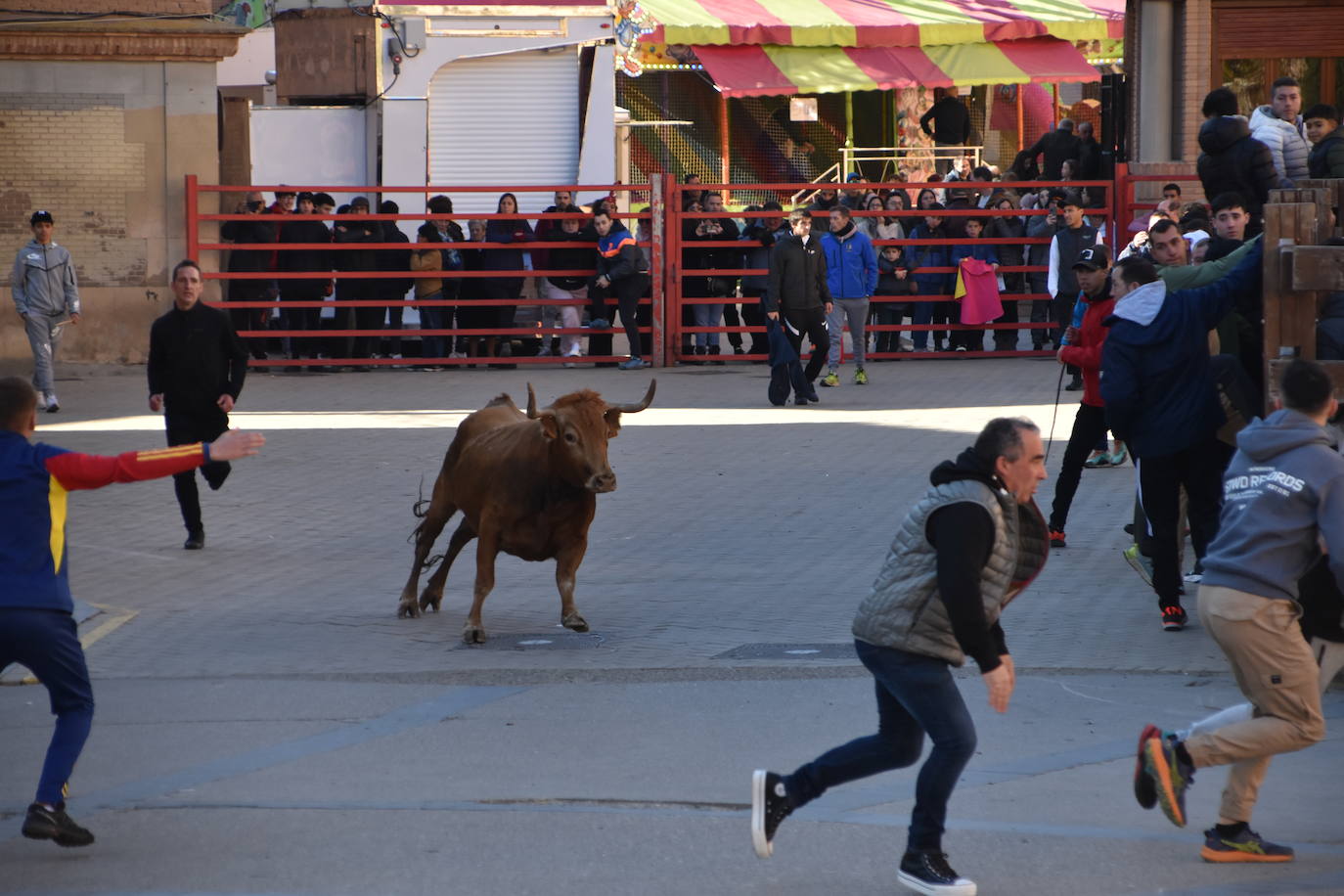 Encierro en Aldeanueva de Ebro