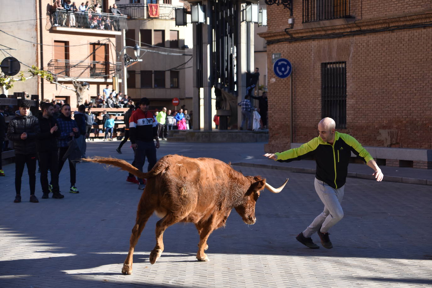 Encierro en Aldeanueva de Ebro