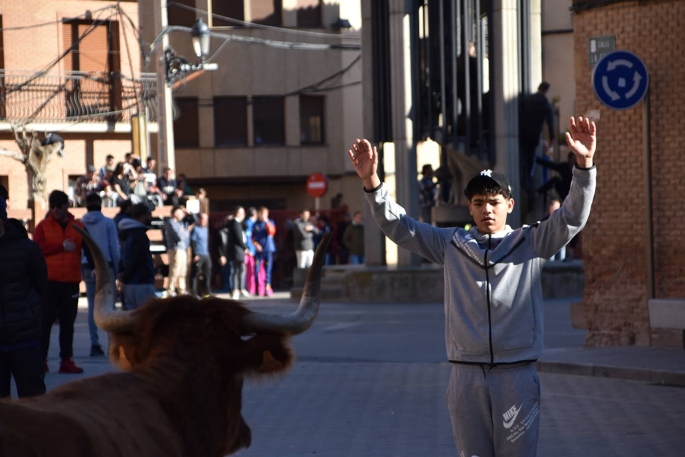 Encierro en Aldeanueva de Ebro