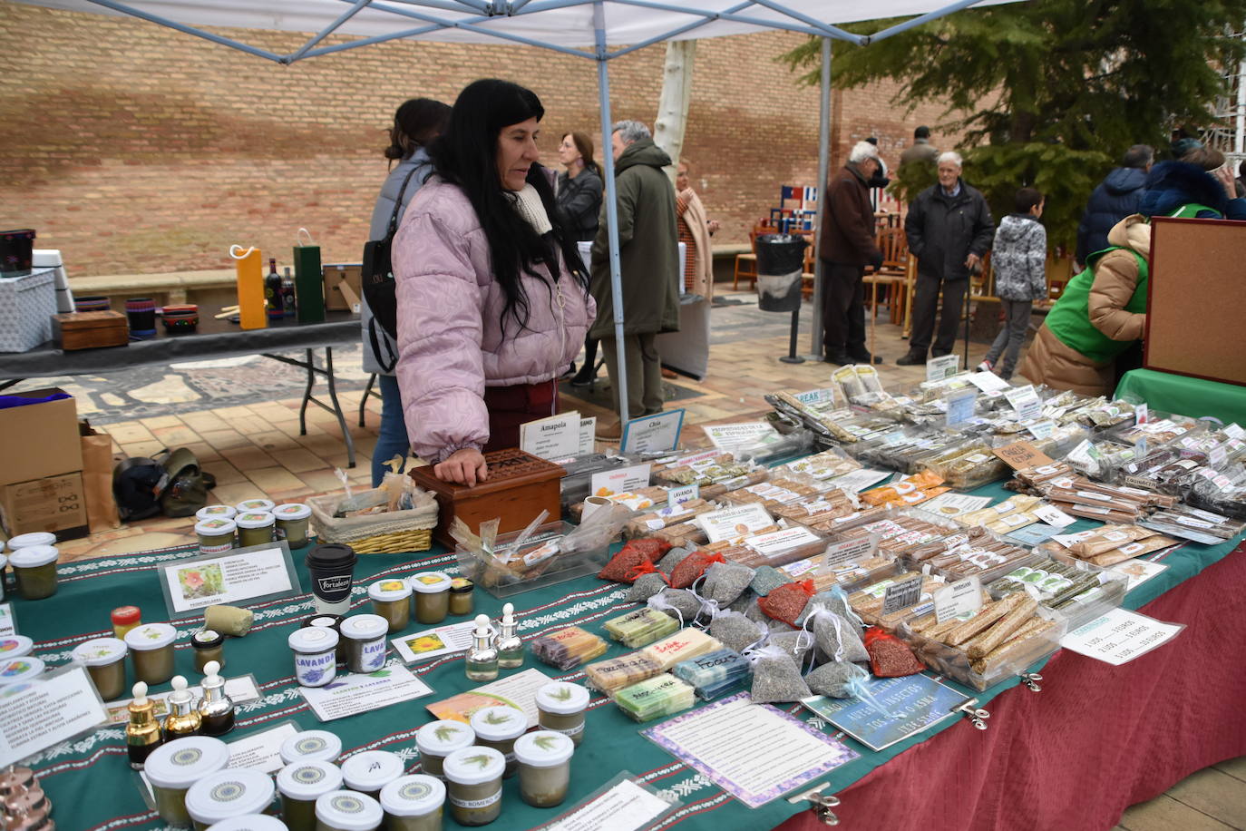 Las fiestas de invierno de Aldeanueva, en imágenes