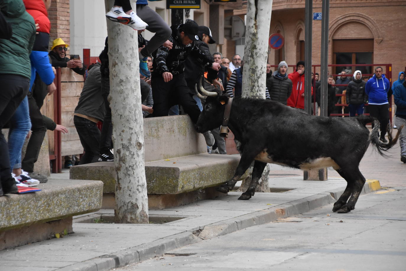 Las fiestas de invierno de Aldeanueva, en imágenes