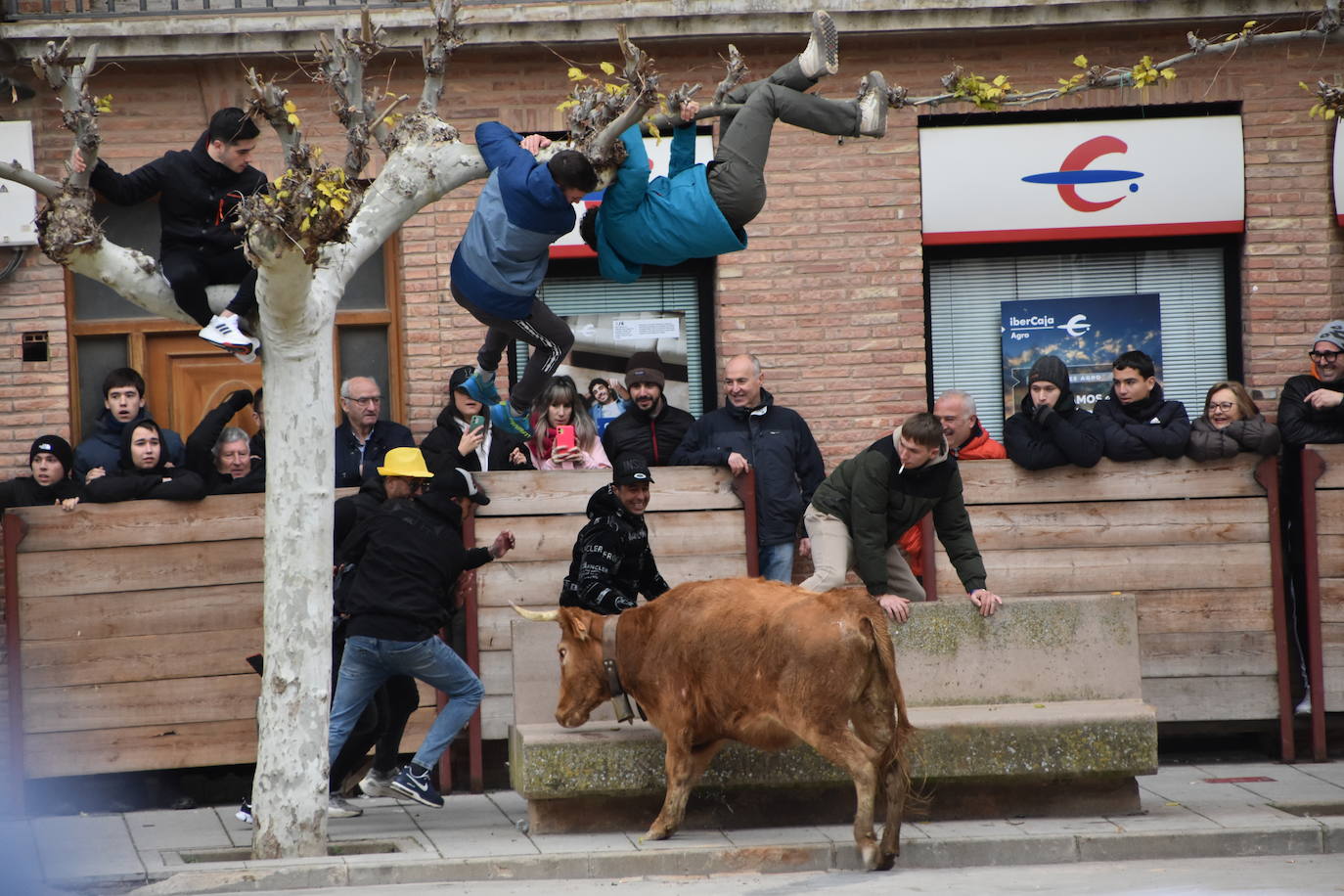 Las fiestas de invierno de Aldeanueva, en imágenes