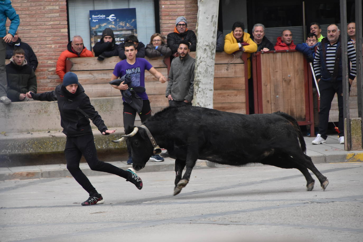 Las fiestas de invierno de Aldeanueva, en imágenes