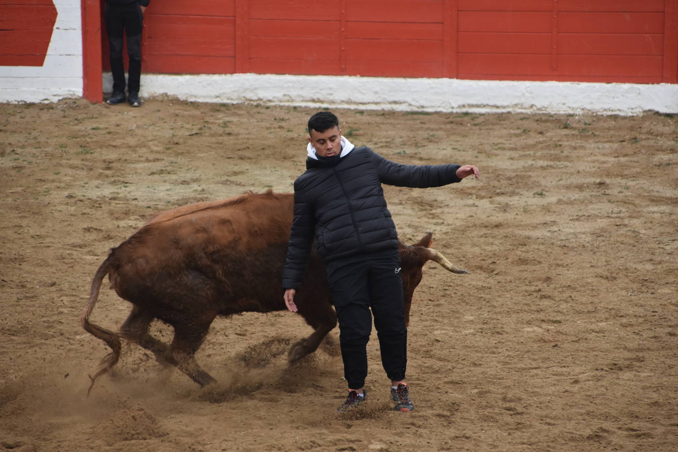 Las fiestas de invierno de Aldeanueva, en imágenes