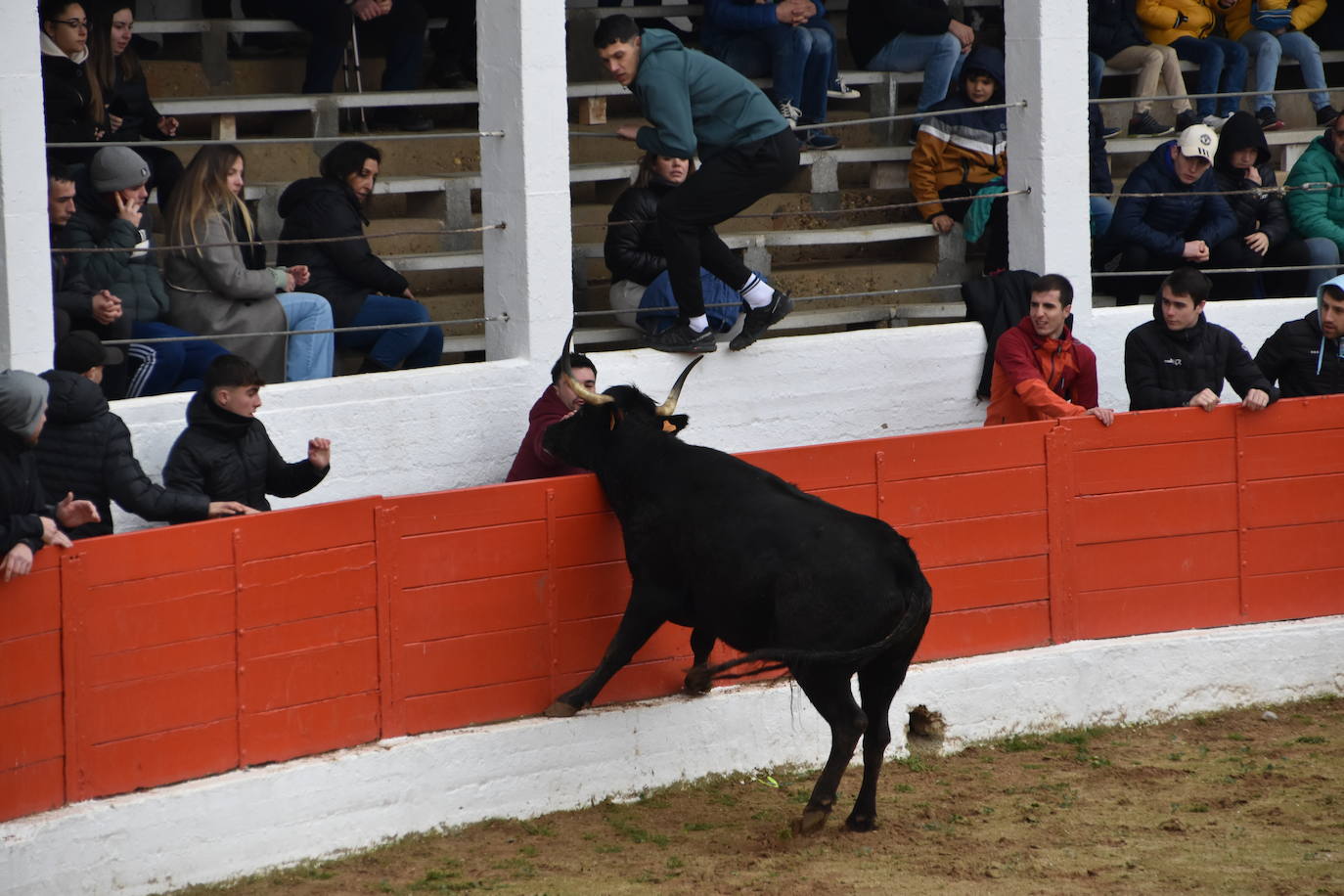 Las fiestas de invierno de Aldeanueva, en imágenes