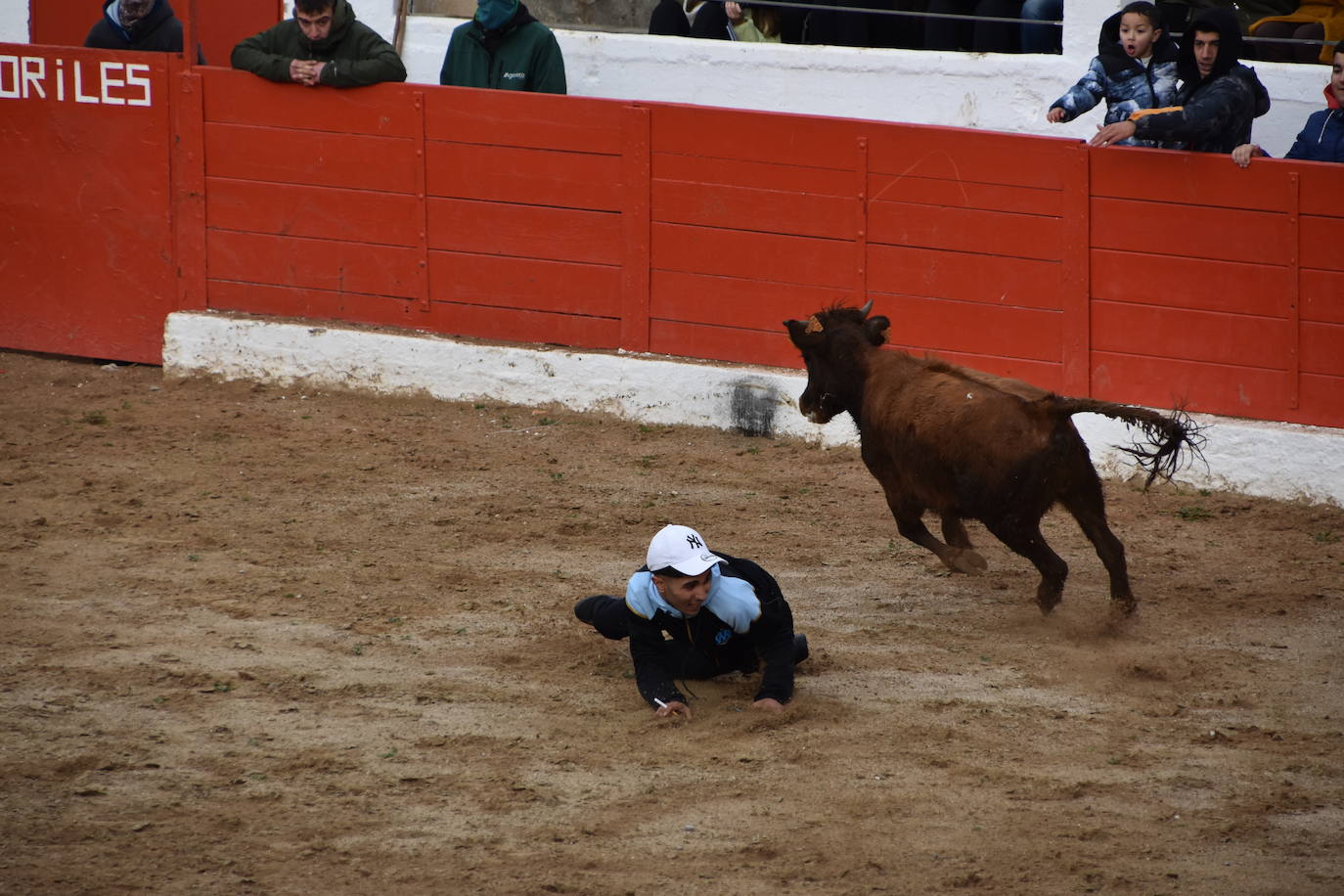 Las fiestas de invierno de Aldeanueva, en imágenes
