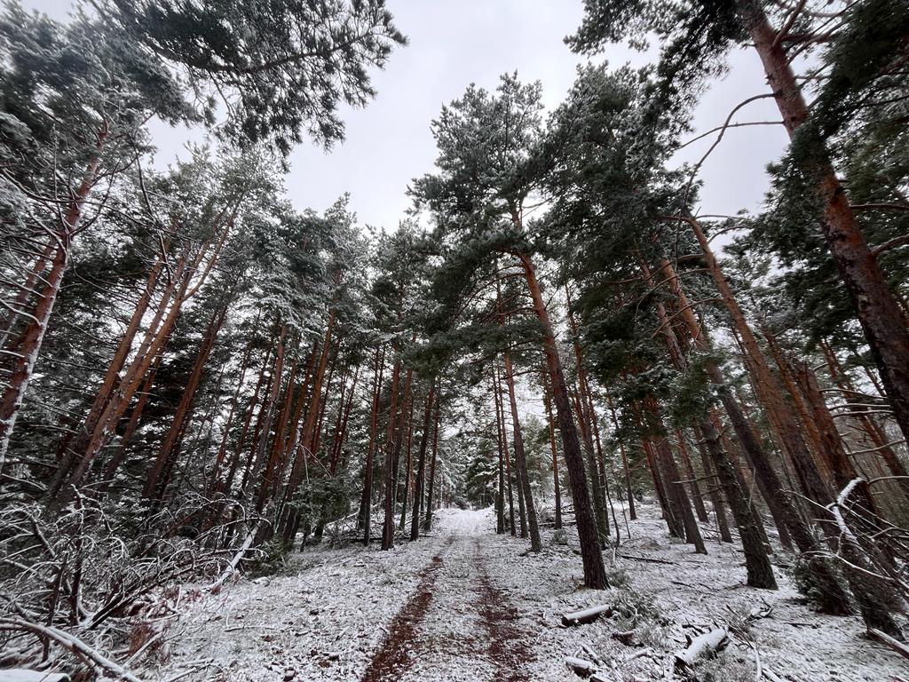 Primeras estampas de nieve en El Rasillo