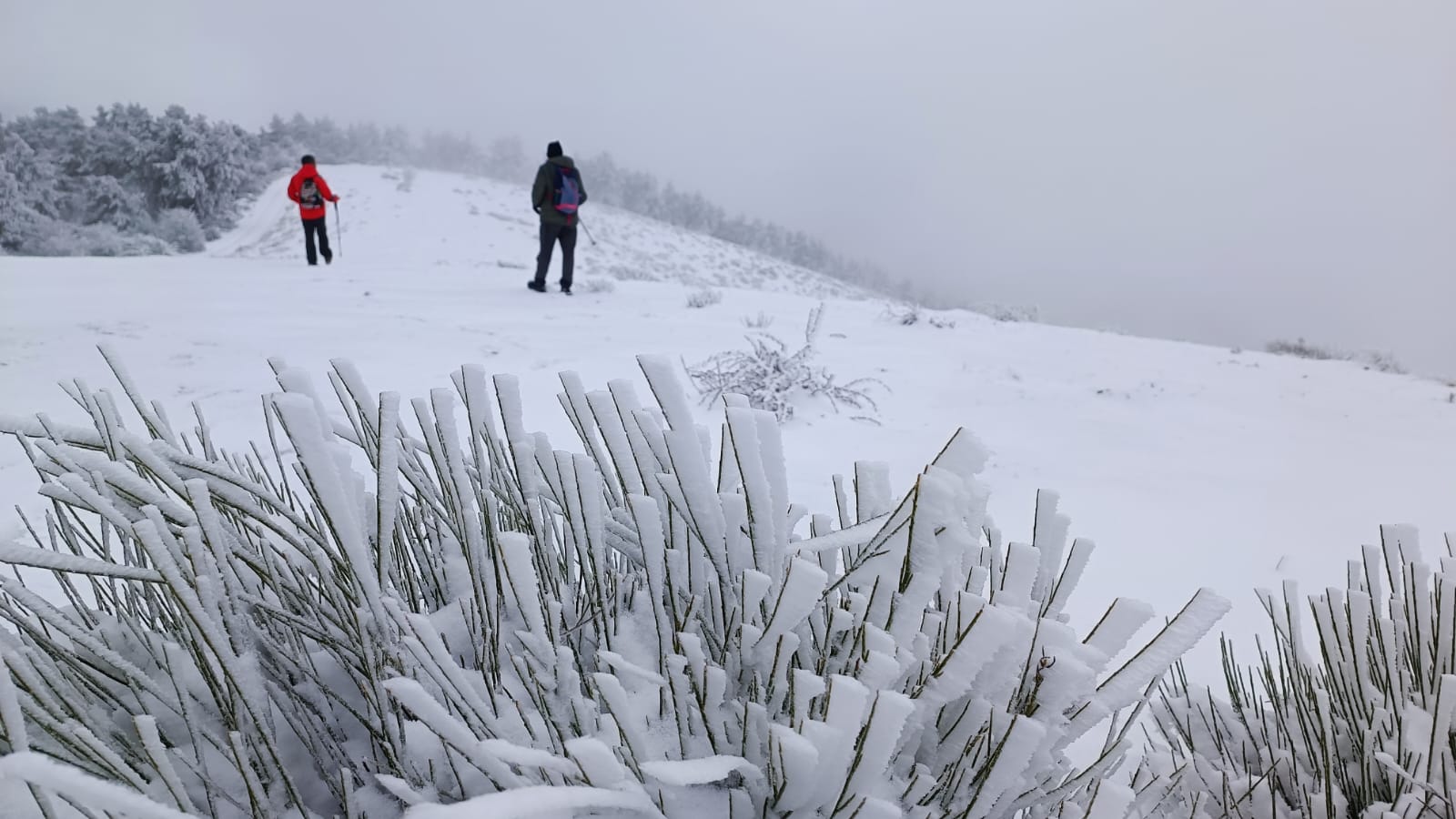 Nieve en Pazuengos en el primer domingo del año