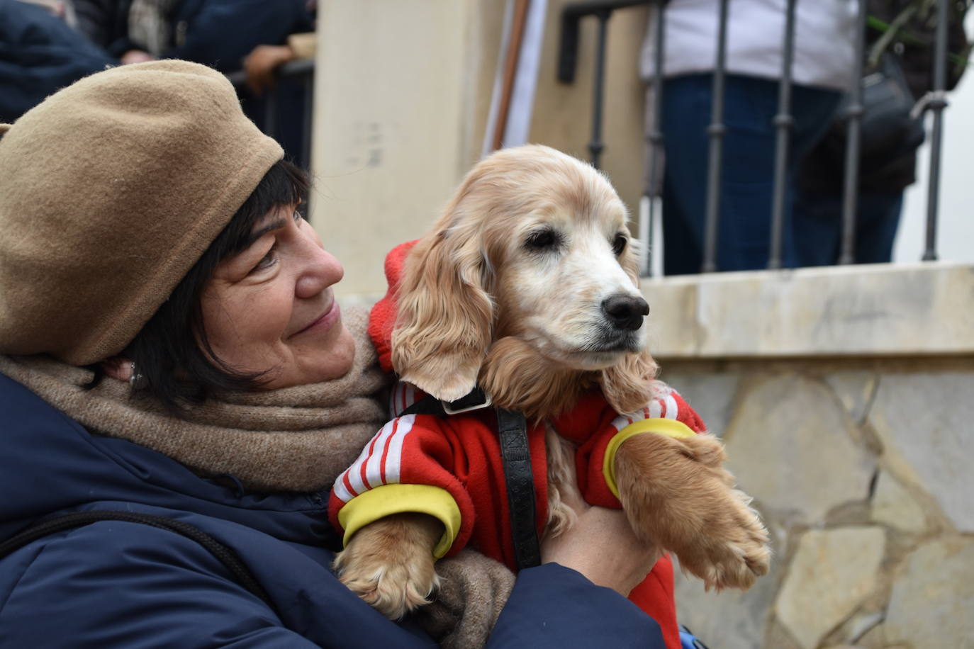 La bendición de San Antón, en imágenes